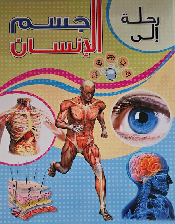 رحلة إلى جسم الإنسان ALISUN