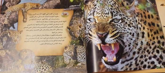 كائنات افريقية - ArabiskaBazar - أرابيسكابازار